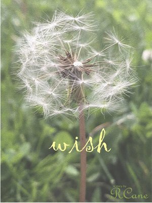 cover image of Wish